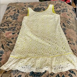 Ann Taylor Loft Dress Size 8